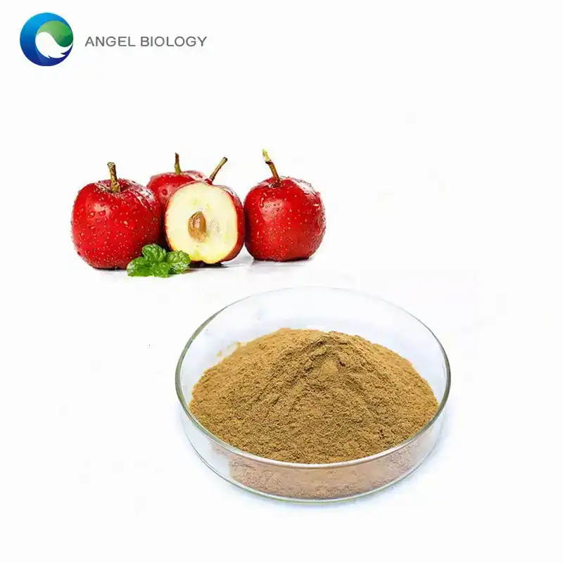 How to Select the Best Hawthorn Extract Supplement for Optimal Blood Circulation?